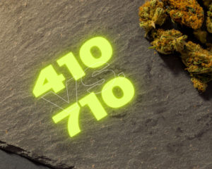 420 vs 710 Flower Haze Cannabis Hemp Products located on bank street ottawa